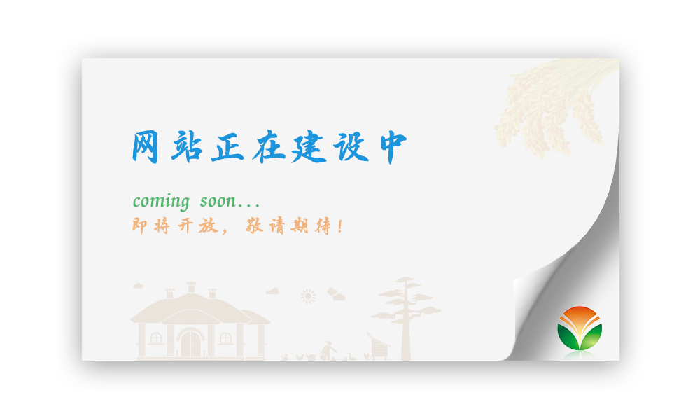 ��վ������